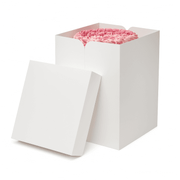 10" x 10" x 14" - 'The Super Duper Tall Cake Box' High Quality 450gsm