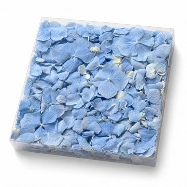 Baby Blue Freeze-Dried Hydrangea Petals - 1000ml