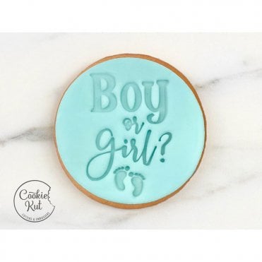 Boy or Girl? - Baby Shower Embosser Stamp