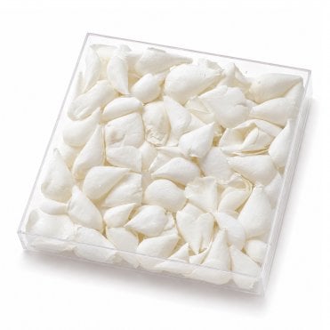 Bridal White Freeze-Dried Rose Petals - 1000ml