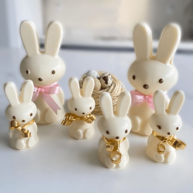 BWB Premium Cosy Bunny Oasis (2 Cavity) - Special Chocolate Mould