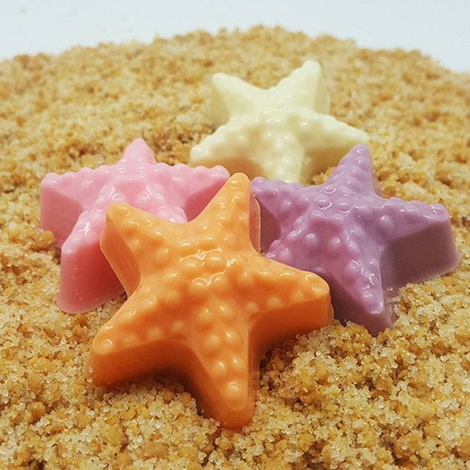 BWB Premium Star of the Sea Symphony Chocolate Mold - 6 Cavity - Special Chocolate Mould