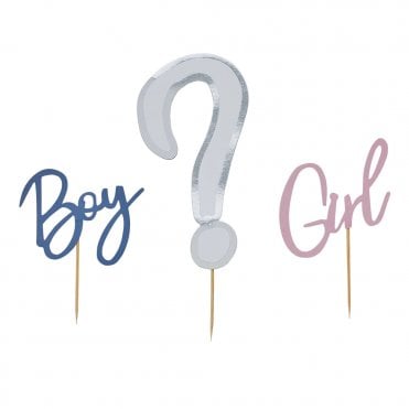 Gender Reveal Cake Topper Set Of 3