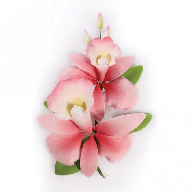 Culpitt Gum Paste Spray Pink Orchid 152mm
