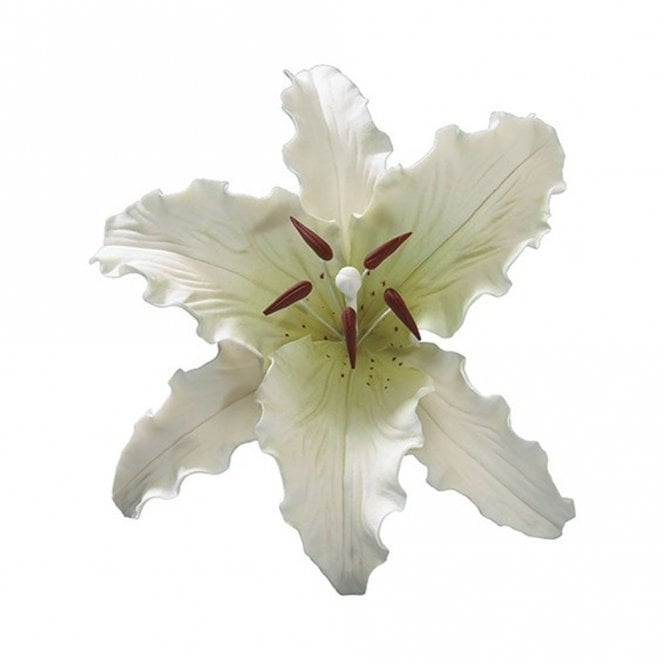 Culpitt Gumpaste Stargazer Lily