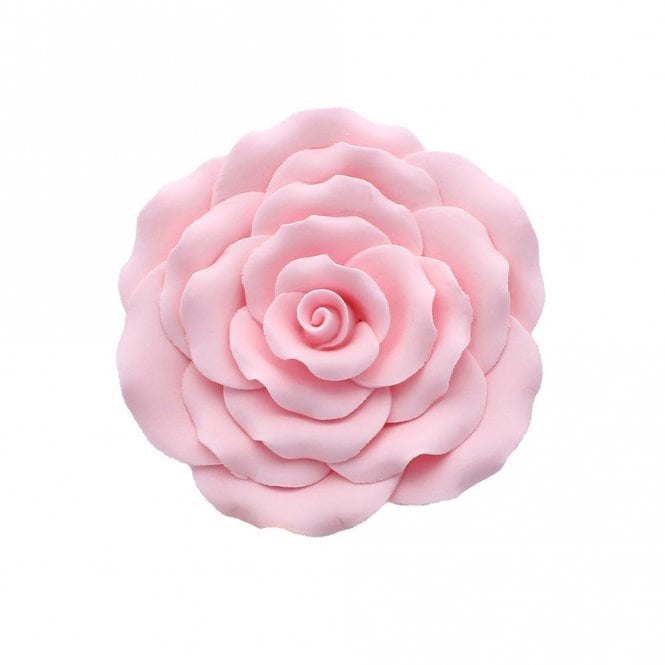 Culpitt Pink Sugar Rose - 102mm