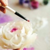 Petal Dusts