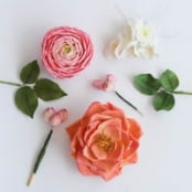 Sugar Florist Paste