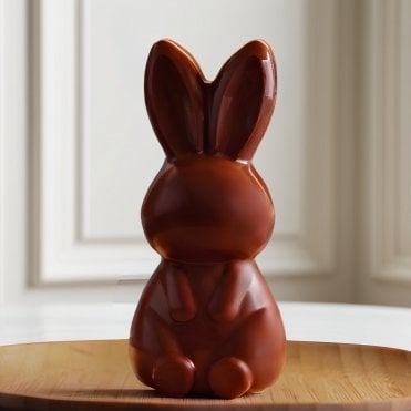 Enchanted Bunny: Special Chocolate Mould 