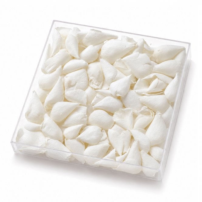 Fleur Maison Bridal White Freeze-Dried Rose Petals - 1000ml