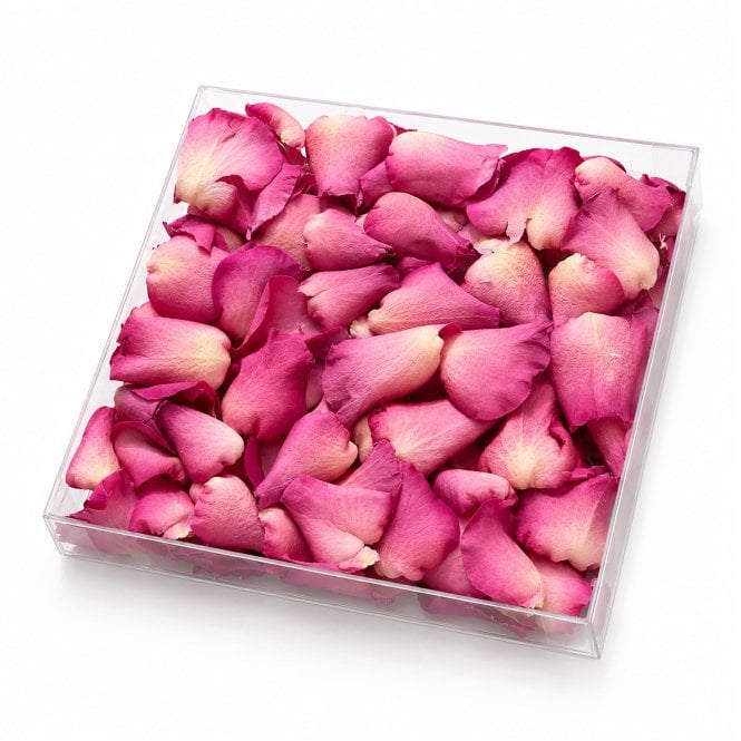 Fleur Maison Coral Pink Freeze-Dried Rose Petals - 1000ml