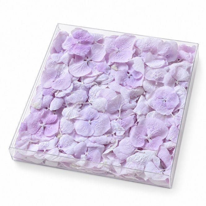 Fleur Maison Lilac Freeze-Dried Hydrangea Petals - 1000ml
