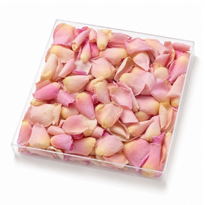 Fleur Maison Peachy Pink Freeze-Dried Rose Petals - 1000ml