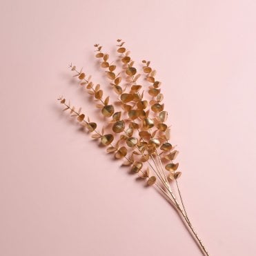Vintage Gold Eucalyptus