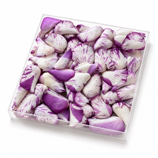 Fleur Maison White Marble Freeze-Dried Rose Petals - 1000ml