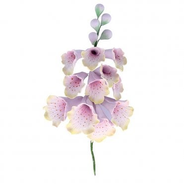 Foxglove Sugar Spray - Lilac