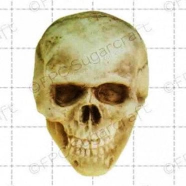 3D Skull - Cake Decorating Silicone Mould