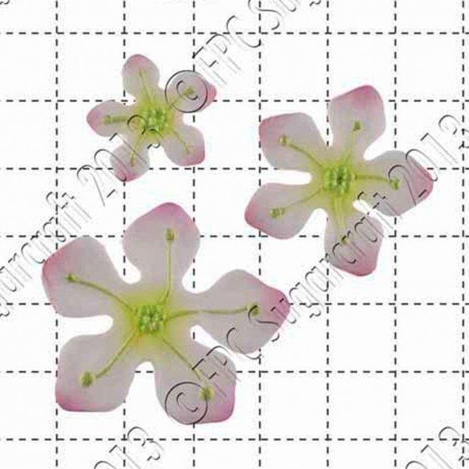FPC Moulds Fantasy Flowers - Cake Decorating Silicone Mould