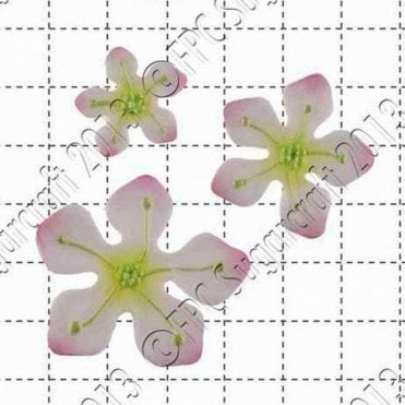 Fantasy Flowers - Cake Decorating Silicone Mould