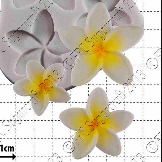 FPC Moulds Frangipani - Cake Decorating Silicone Mould