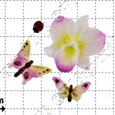 Orchid & Insects - Cake Decorating Silicone Mould