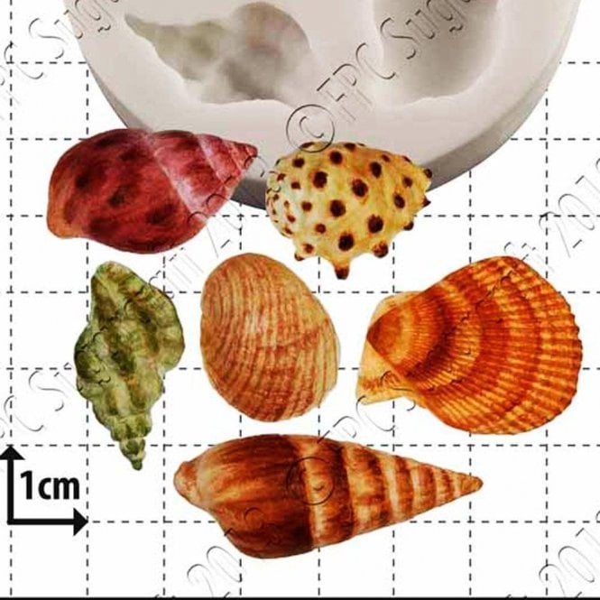 FPC Moulds Sea Shells - Cake Decorating Silicone Mould