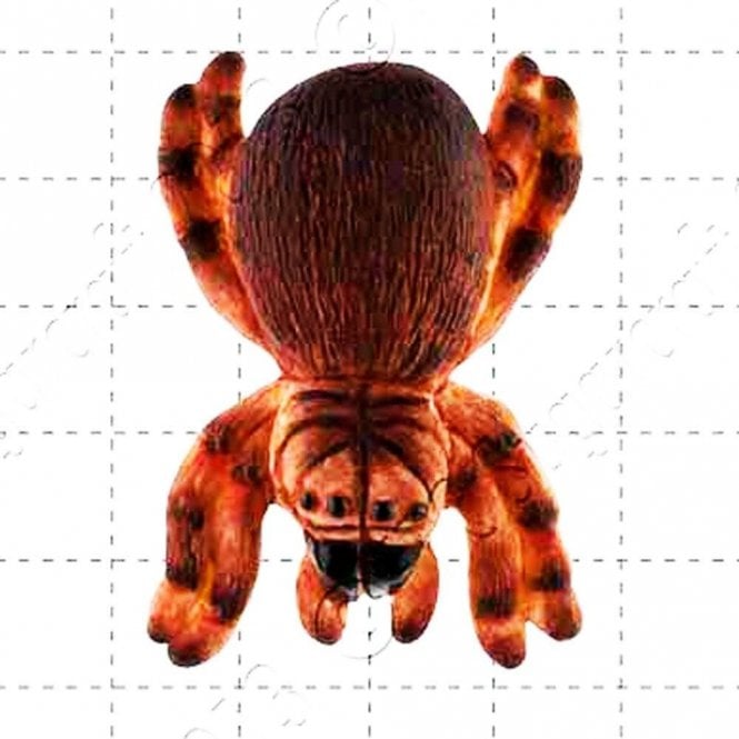 FPC Moulds Spider - Cake Decorating Silicone Mould