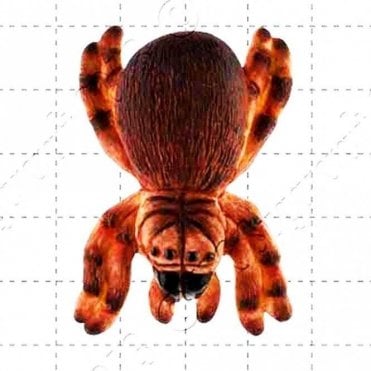 Spider - Cake Decorating Silicone Mould