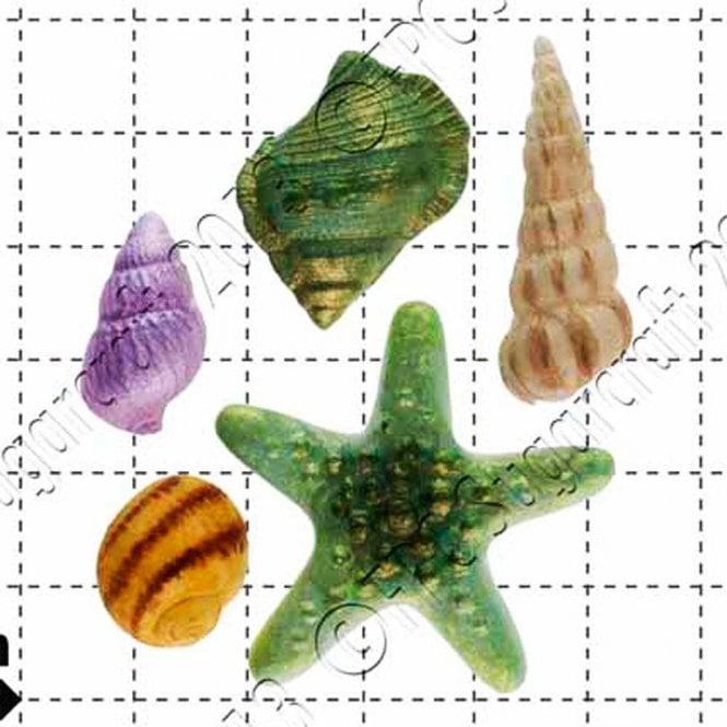 FPC Moulds Starfish & shells - Cake Decorating Silicone Mould