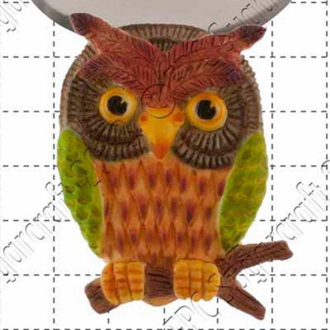 FPC Moulds Wise Owl - Cake Decorating Silicone Mould