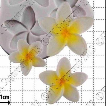 Frangipani - Cake Decorating Silicone Mould