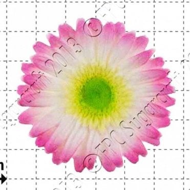 Gerbera - Cake Decorating Silicone Mould