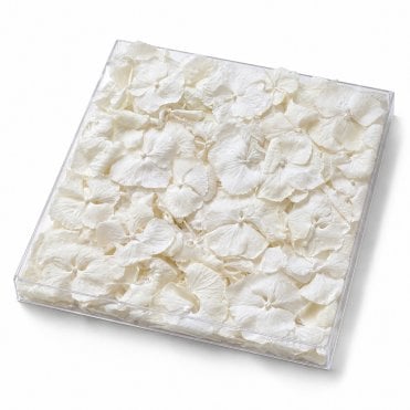 Ivory Freeze-Dried Hydrangea Petals - 1000ml