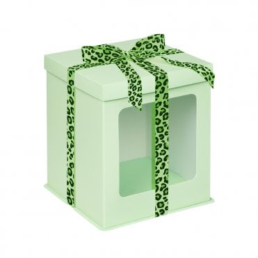 MINT Tall Stylish Cake Box with Window
