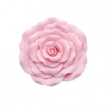 Pink Sugar Rose - 102mm
