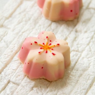 Special Chocolate Mold - Sakura Truffle