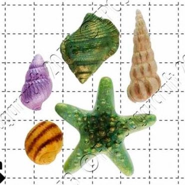 Starfish & shells - Cake Decorating Silicone Mould