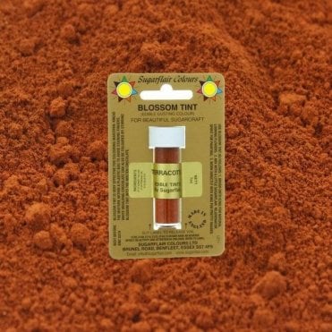 Terracotta - Blossom Tint Dusting Colour 7ml Vial