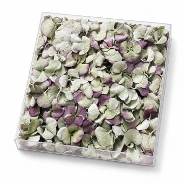 Vintage Green Freeze-Dried Hydrangea Petals - 1000ml